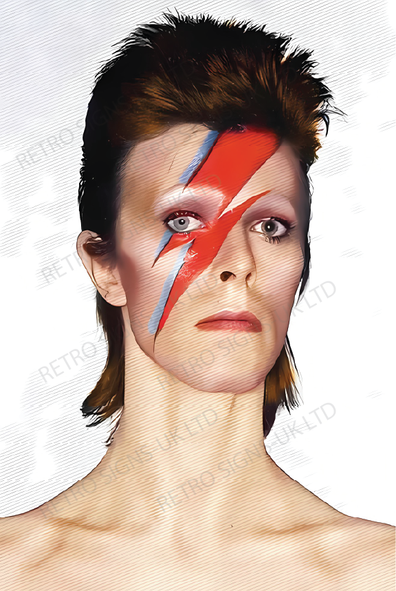 David Bowie Ziggy Stardust Photo - Aluminium Metal Sign 20x30cm
